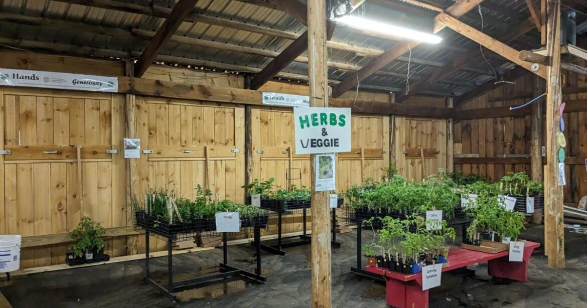 Get perennials, annuals at Master Gardener Volunteer Plant Sale today | News Get perennials, annuals at Master Gardener Volunteer Plant Sale today | News