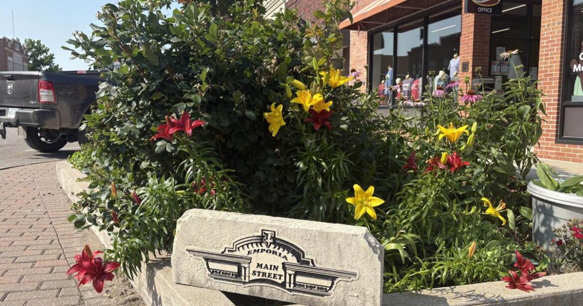 Adopt a garden program provides opportunity to spruce up downtown | Main Street