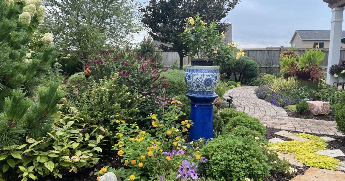 In the Garden | Inside look | Gardening