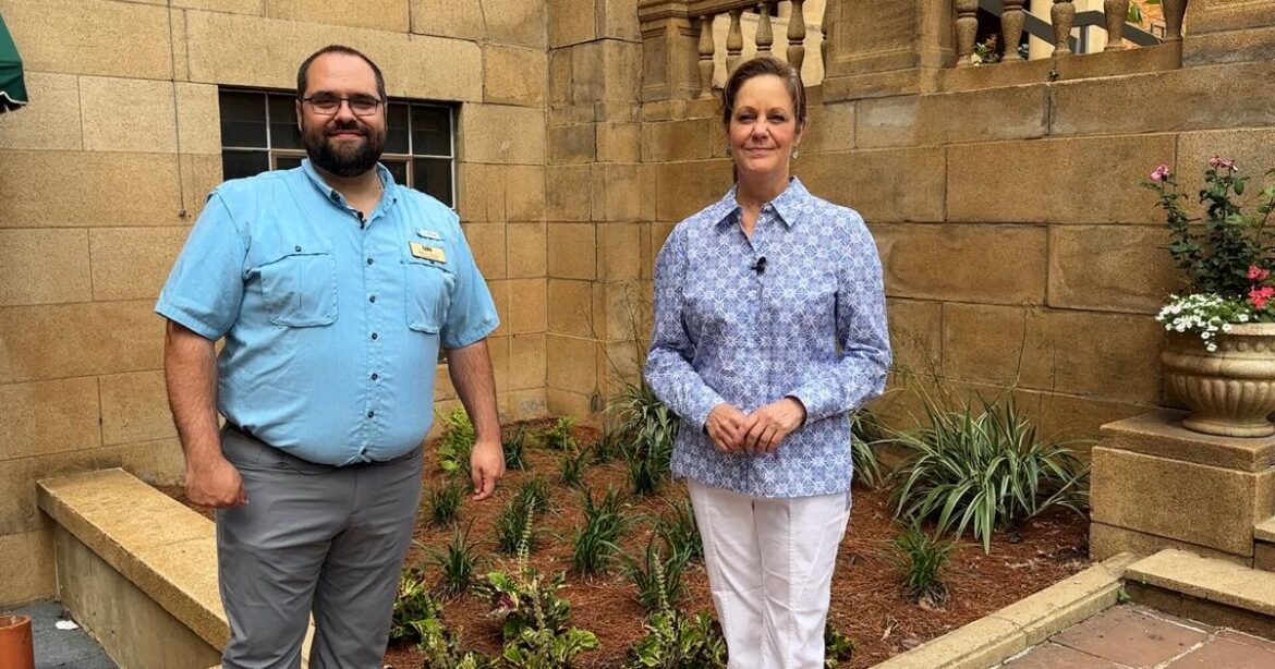 Expert shares tips for successful flower beds | Johnette’s Garden Club