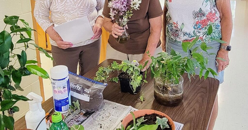 Pulaski Garden Club learn about Japanese beetles | Social