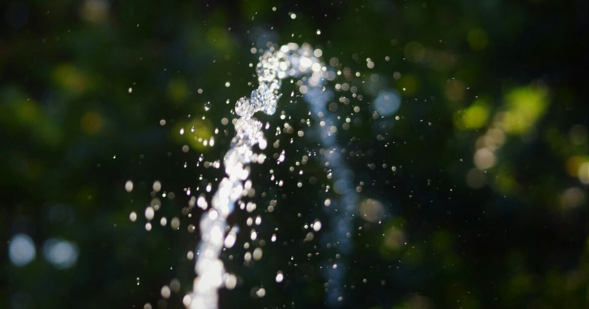 The Worst Watering Mistake You Can Make In A Heatwave The Worst Watering Mistake You Can Make In A Heatwave