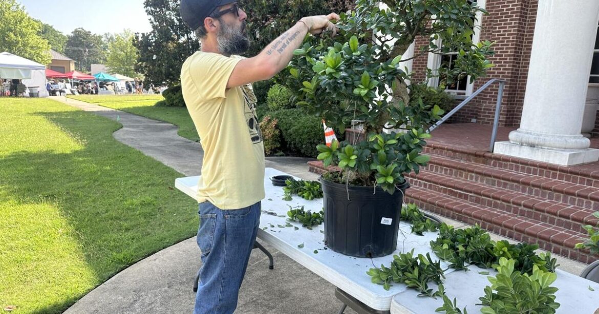 Olive Branch Outdoors brings bonsai, gardening and birds to Old Towne | News