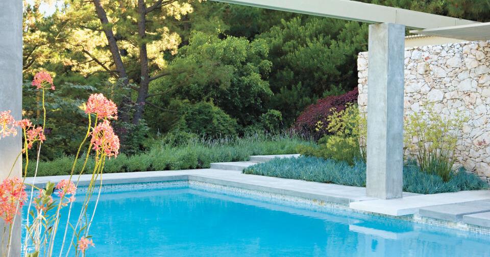 East Bay Pool Design | Home + Design East Bay Pool Design | Home + Design