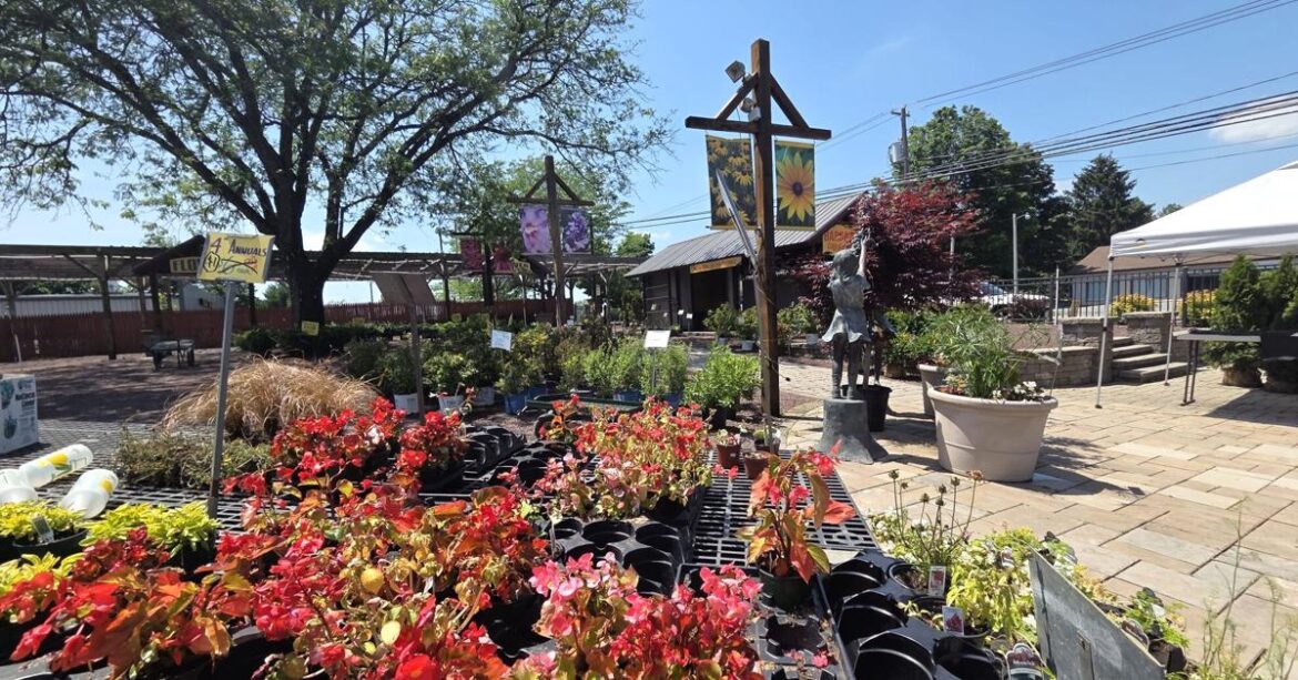 ‘Heartfelt decision’: Popular garden center to close after nearly 50 years of business | Eat, Sip, Shop 'Heartfelt decision': Popular garden center to close after nearly 50 years of business | Eat, Sip, Shop