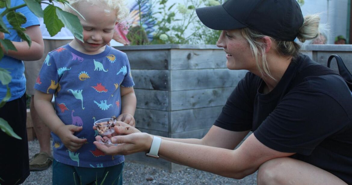 Think Ability to release 40,000 ladybugs into the community garden | Community Think Ability to release 40,000 ladybugs into the community garden | Community