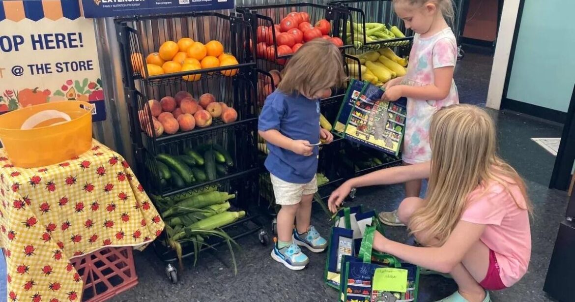 Fruit and veggie stands and gardening projects canceled this summer as Congress targets nutrition funding | State & Region Fruit and veggie stands and gardening projects canceled this summer as Congress targets nutrition funding | State & Region