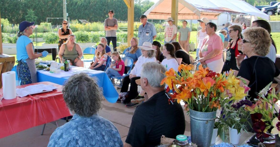 Evening at the Community Gardens | Archives Evening at the Community Gardens | Archives