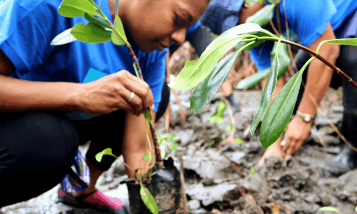 Flood-proof gardens feed and empower communities in Fiji