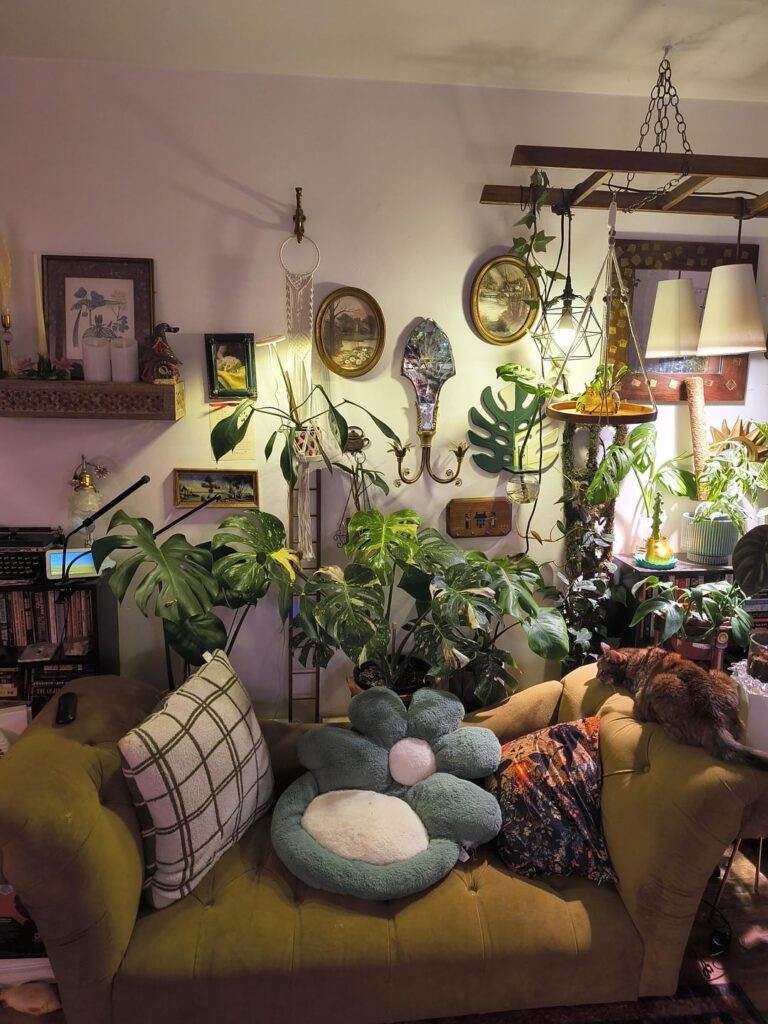 My mostly thrifted plant wall