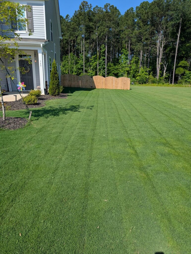 Finally got my lawn to be something I'm proud of.