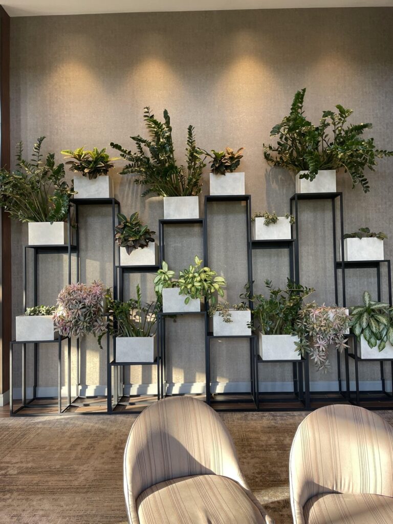 Nice plant wall at Hilton hotel Nice plant wall at Hilton hotel