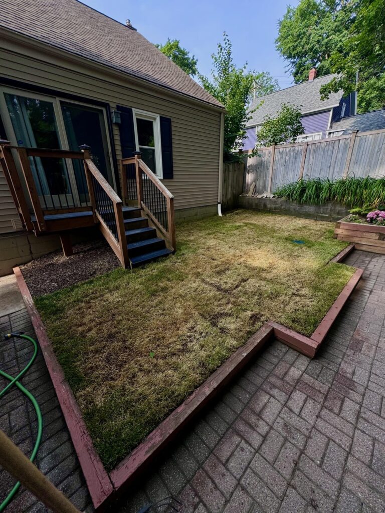 New Sod Died Week 3-4 New Sod Died Week 3-4