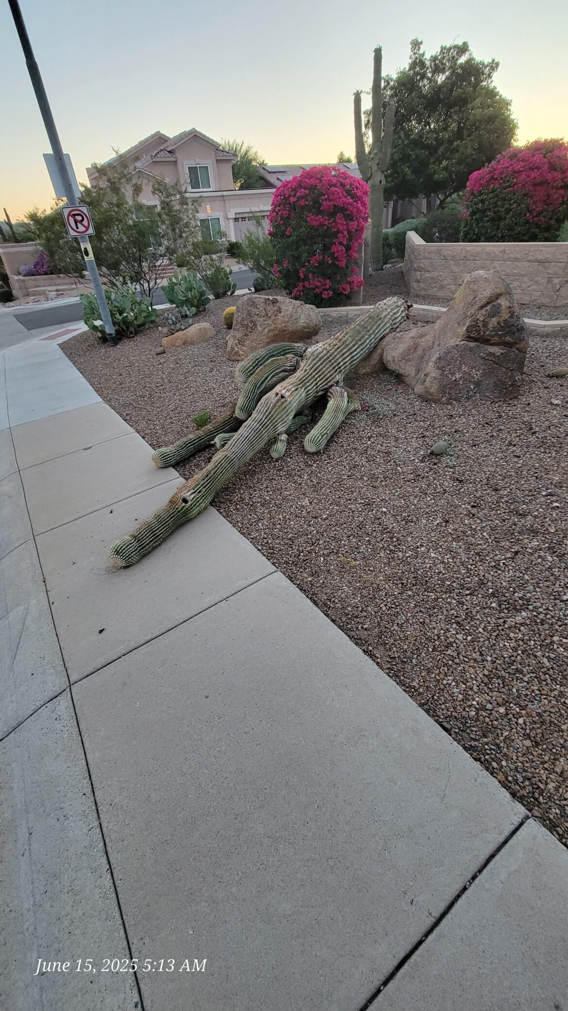 Sad day in my neighborhood