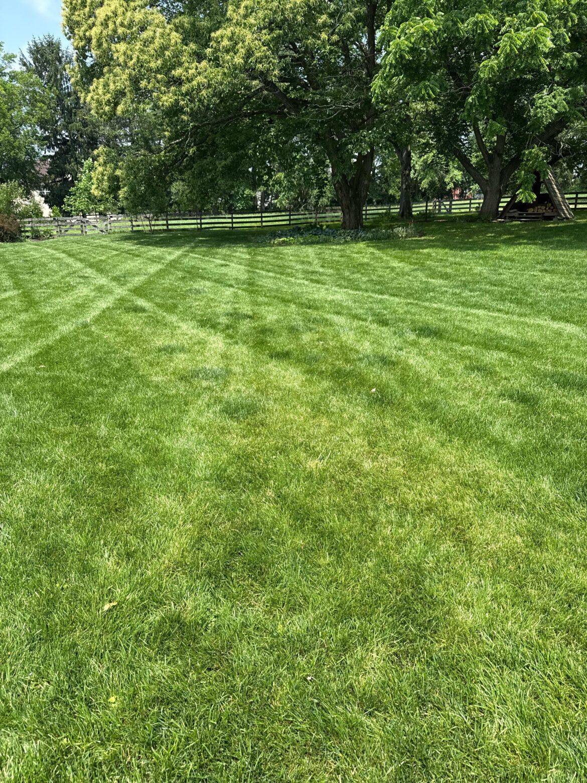 Does lawn need more nitrogen?