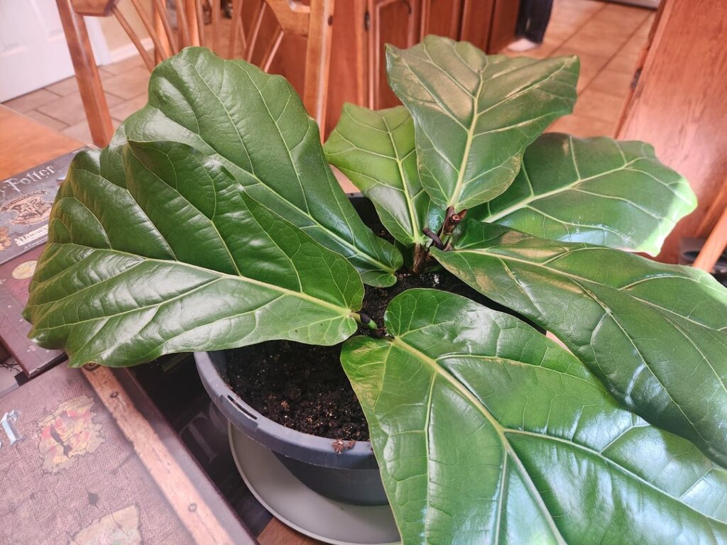 First attempt at propagation. Need advice