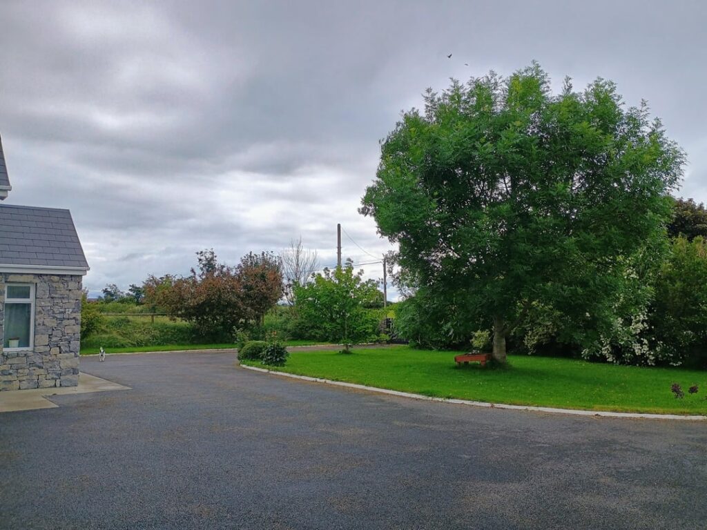 Ash tree too close to house? Do I need to worry/chop? Tree age = 18 years, height approx. 13 meters, closest line to house approx. 11 meters Ash tree too close to house? Do I need to worry/chop? Tree age = 18 years, height approx. 13 meters, closest line to house approx. 11 meters