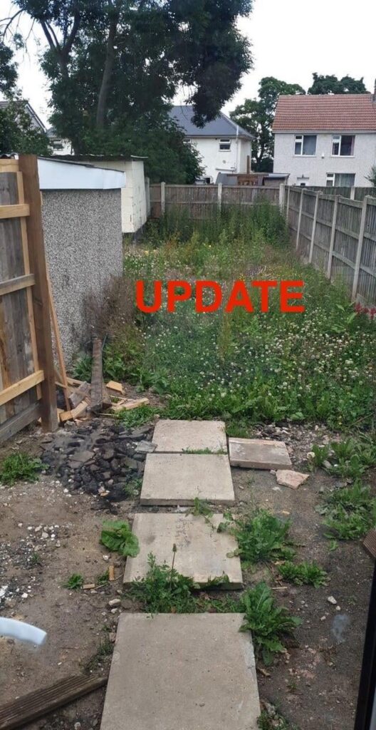 UPDATE: Landlord wasn’t interested so I did it for my one year old. We have GRASS!