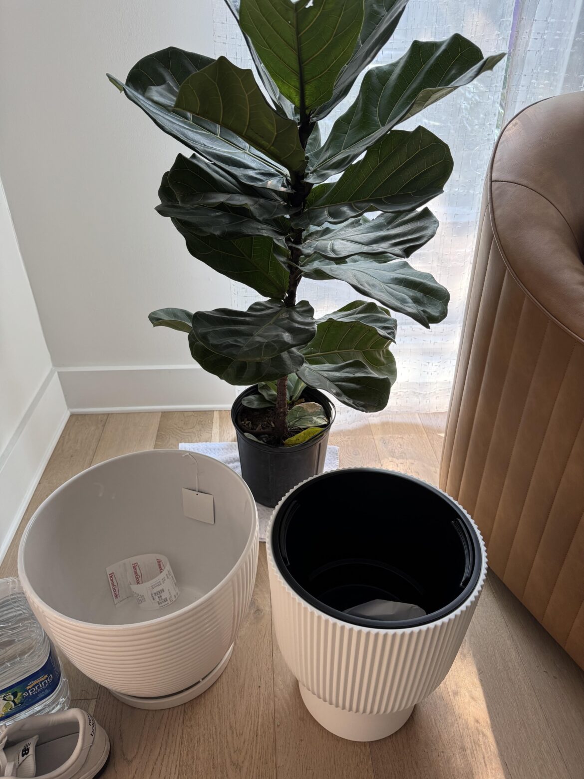 Help with repotting