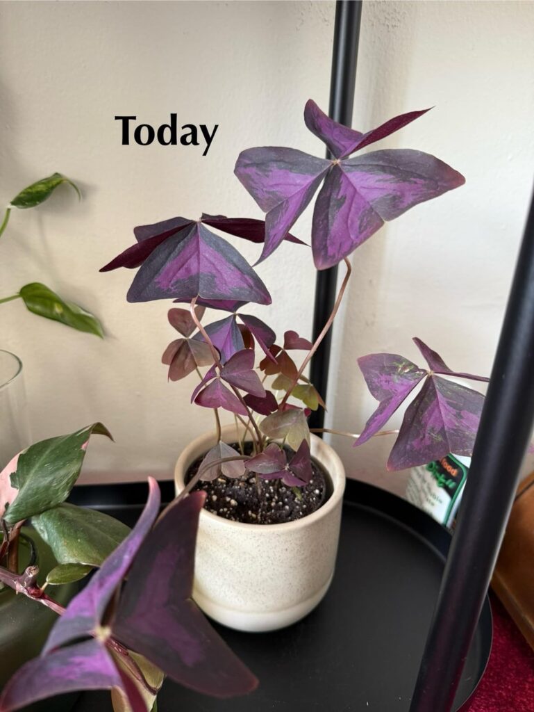 The update no one asked for