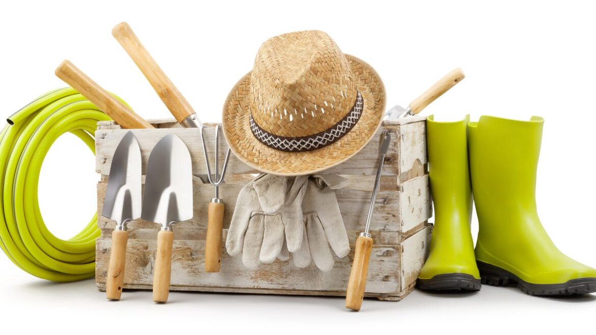 Hot and wet – Your June ‘to do’ list