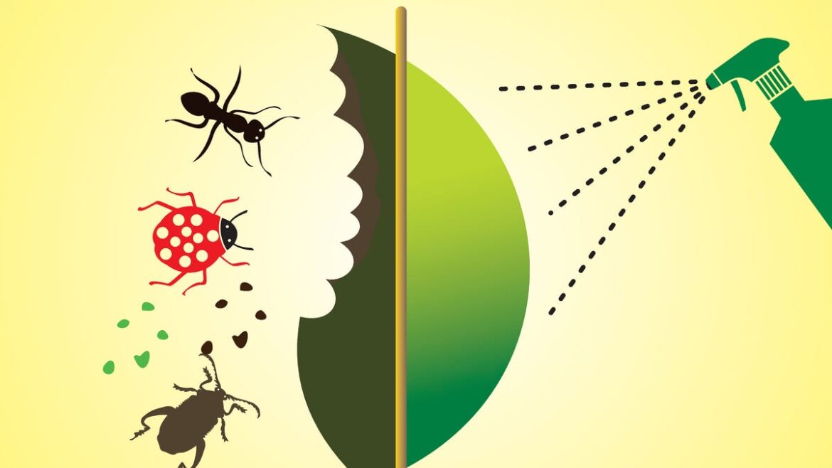 Manage pests before it’s too late