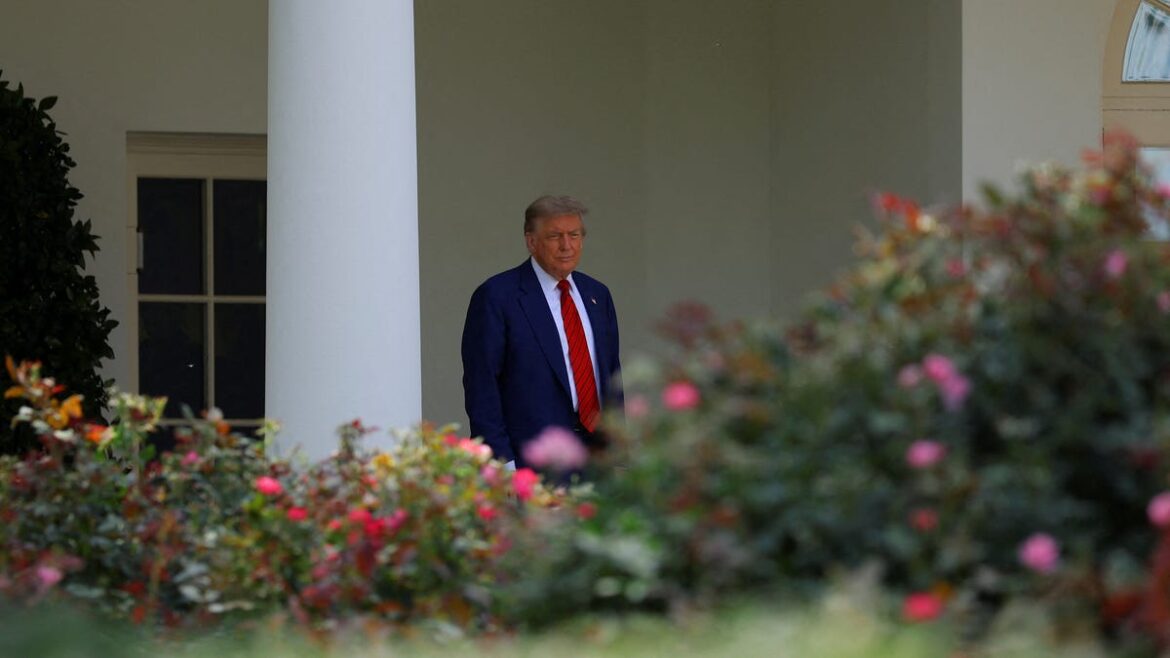 See changes as Trump's Rose Garden remodel makes headway