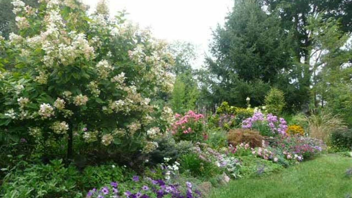 Homestyle Garden Photo Contest pick is 'Whimsical Garden'