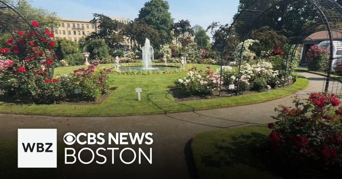 Take a look inside Boston's own "secret garden"