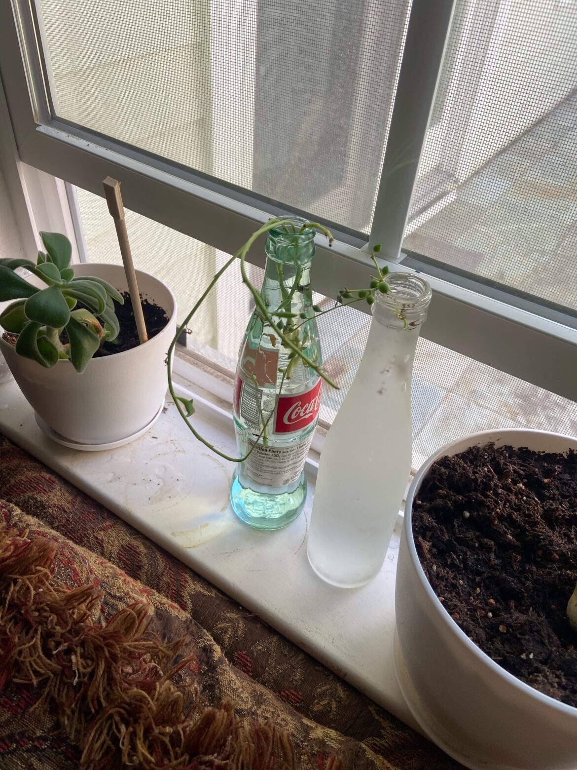 Moving with string cuttings