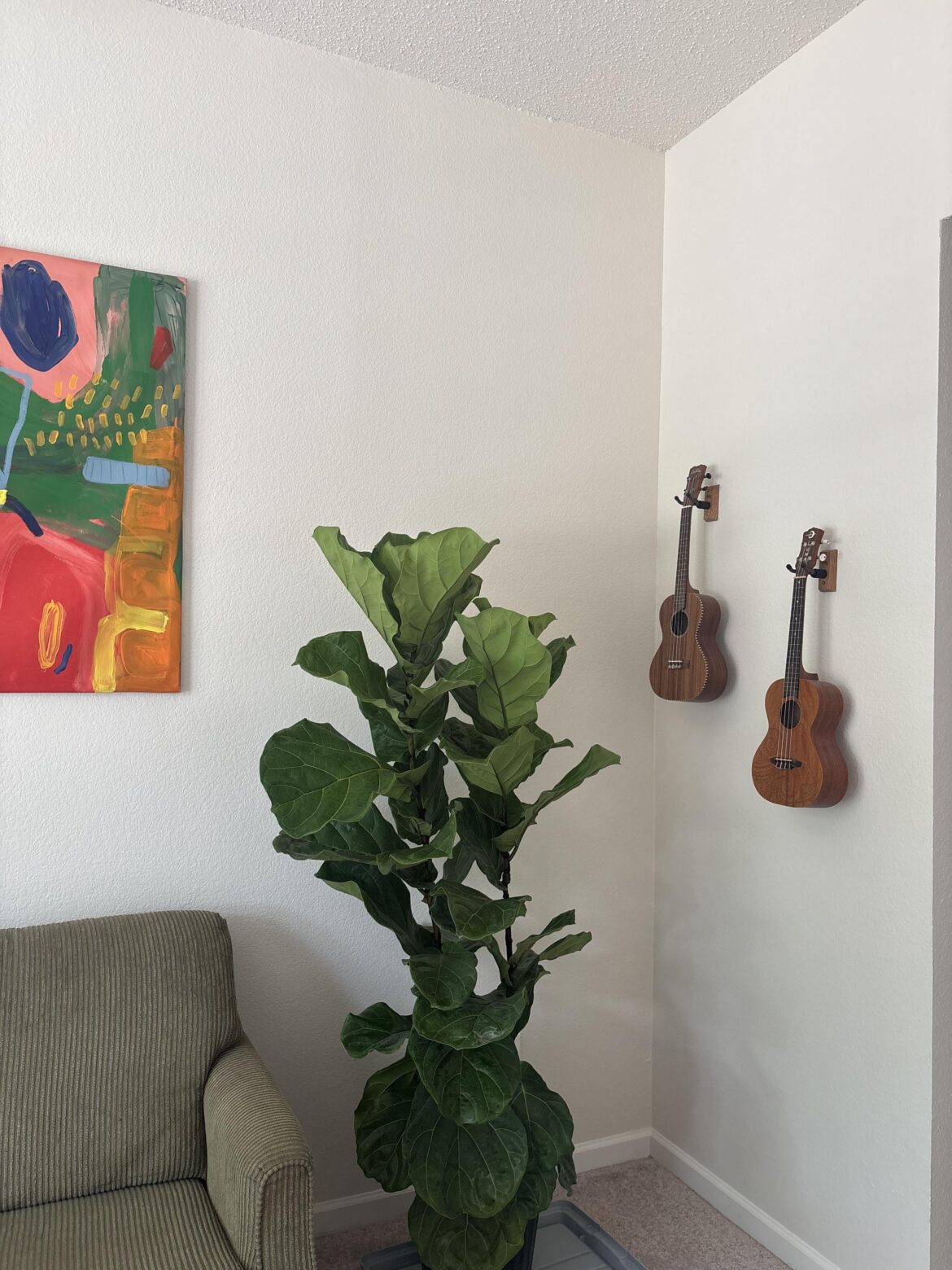 Beginner tips? Beginner tips?