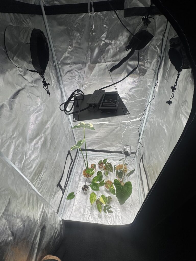 Help with set up