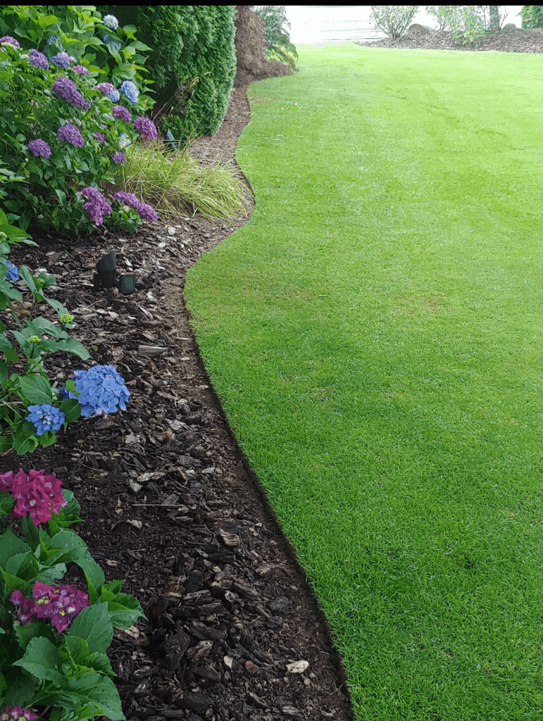 Lawn edging.😉
