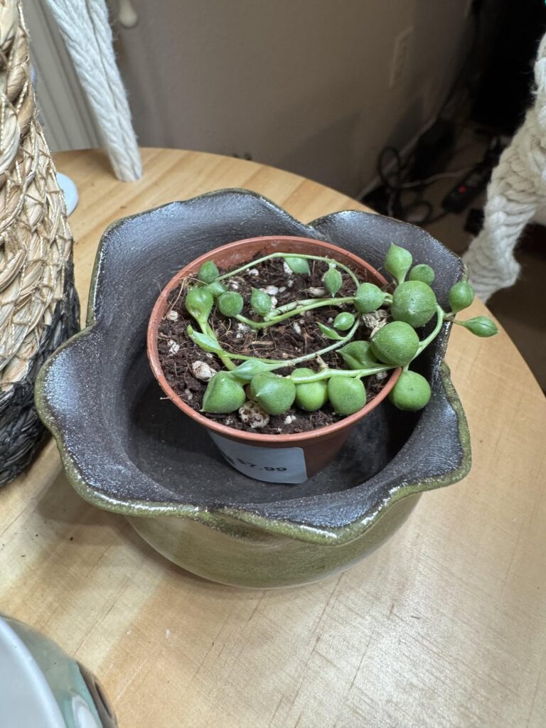 Why won’t her windows open?