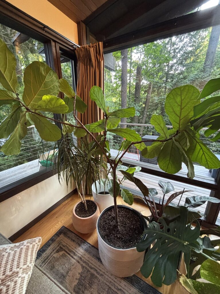 Want to chop it, should I?