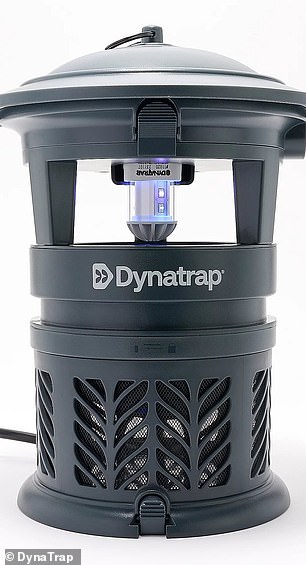 The Dynatrap in Slate Blue