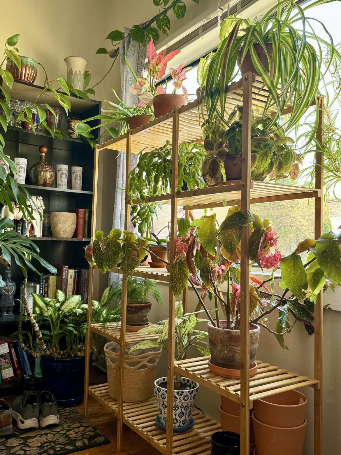 They were showing off today 😍