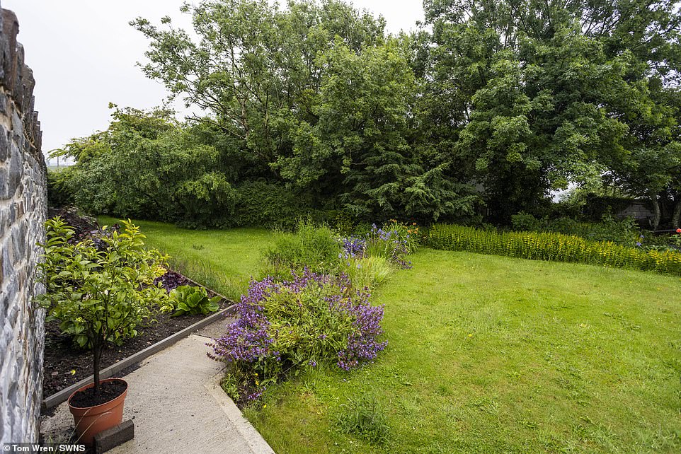 Mr Watkeys has lamented the loss of his oaks, his hawthorns and his lovely 70-year-old oak tree that he used to sit under at the bottom of his garden to watch bats