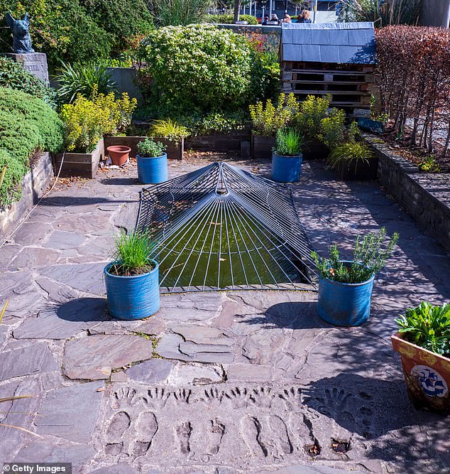 Pictured: The Blue Peter garden in 2022. For decades it has been the pride and joy of the iconic children's programme