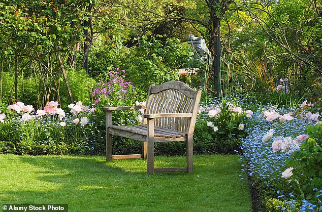 The socialite also said yellow garden flowers are 'tacky', and lower the esteem of your back yard space. Stock image used