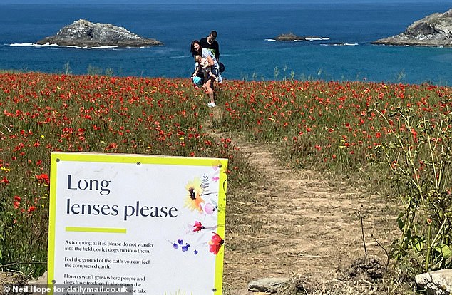 A woman holding a baby walks through a field of poppies with a man in a black shirt