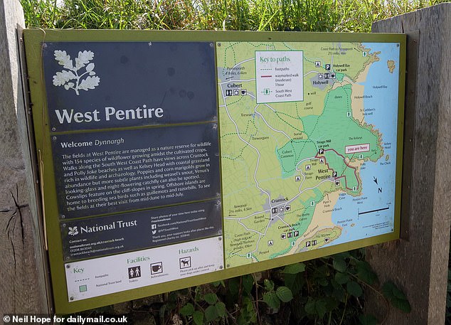 Other information panels tell tourists that the field in West Pentire are 'managed as a nature reserve for wildlife'