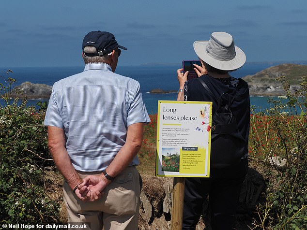 An elderly couple admires the wonderful poppy fields from a distance, following the request of the signs