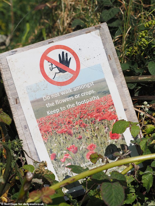 There are multiple signs telling visitors: 'Do not walk amongst the flowers. Keep to the footpaths'