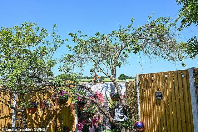 Ms Tidley said: 'My garden is my sanctuary. It's a peaceful place for me while I struggle to cope with my daughter's health problems'