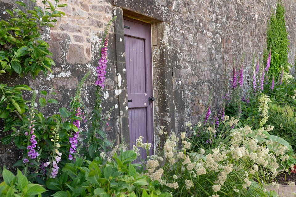 A door in a walled garden surrounded by purple and white flowers