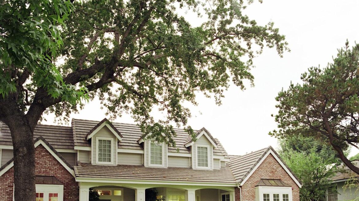 Gardeners Say These Five Trees Can Add THOUSANDS to Your Property Value Yahoo lifestyle home
