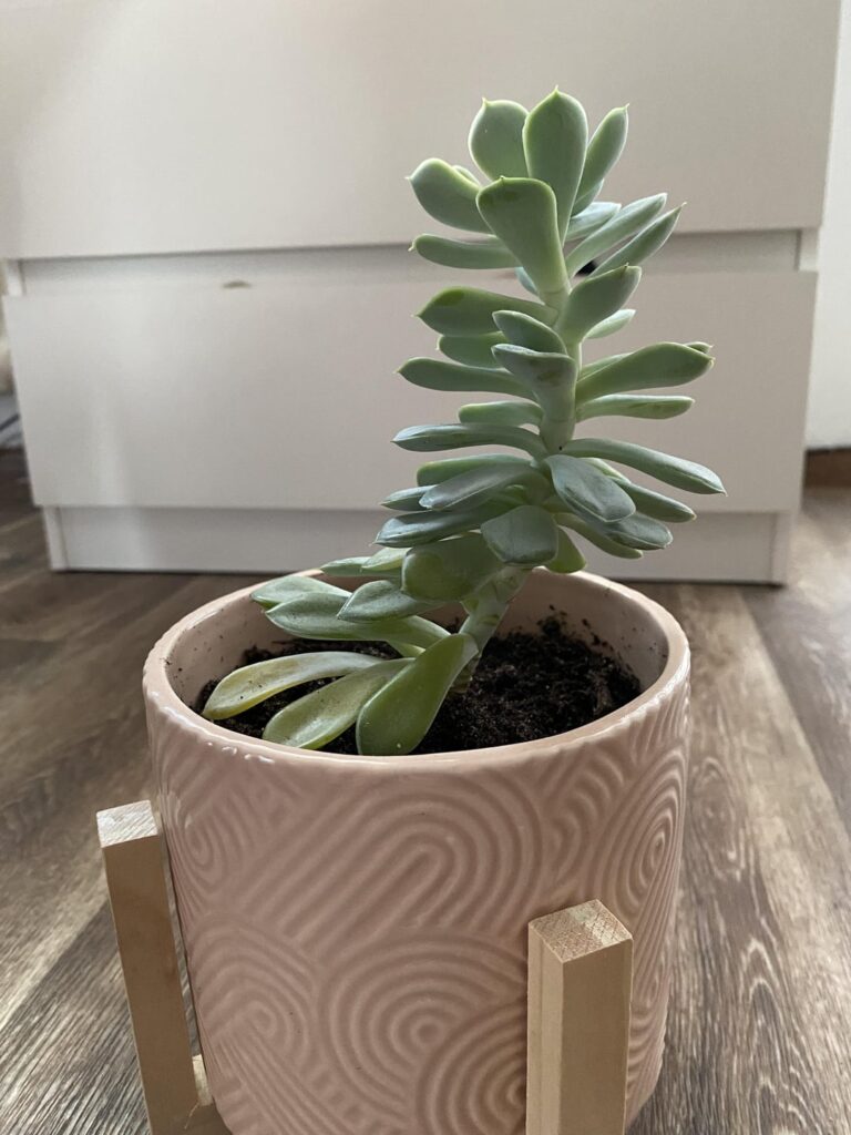 Help needed