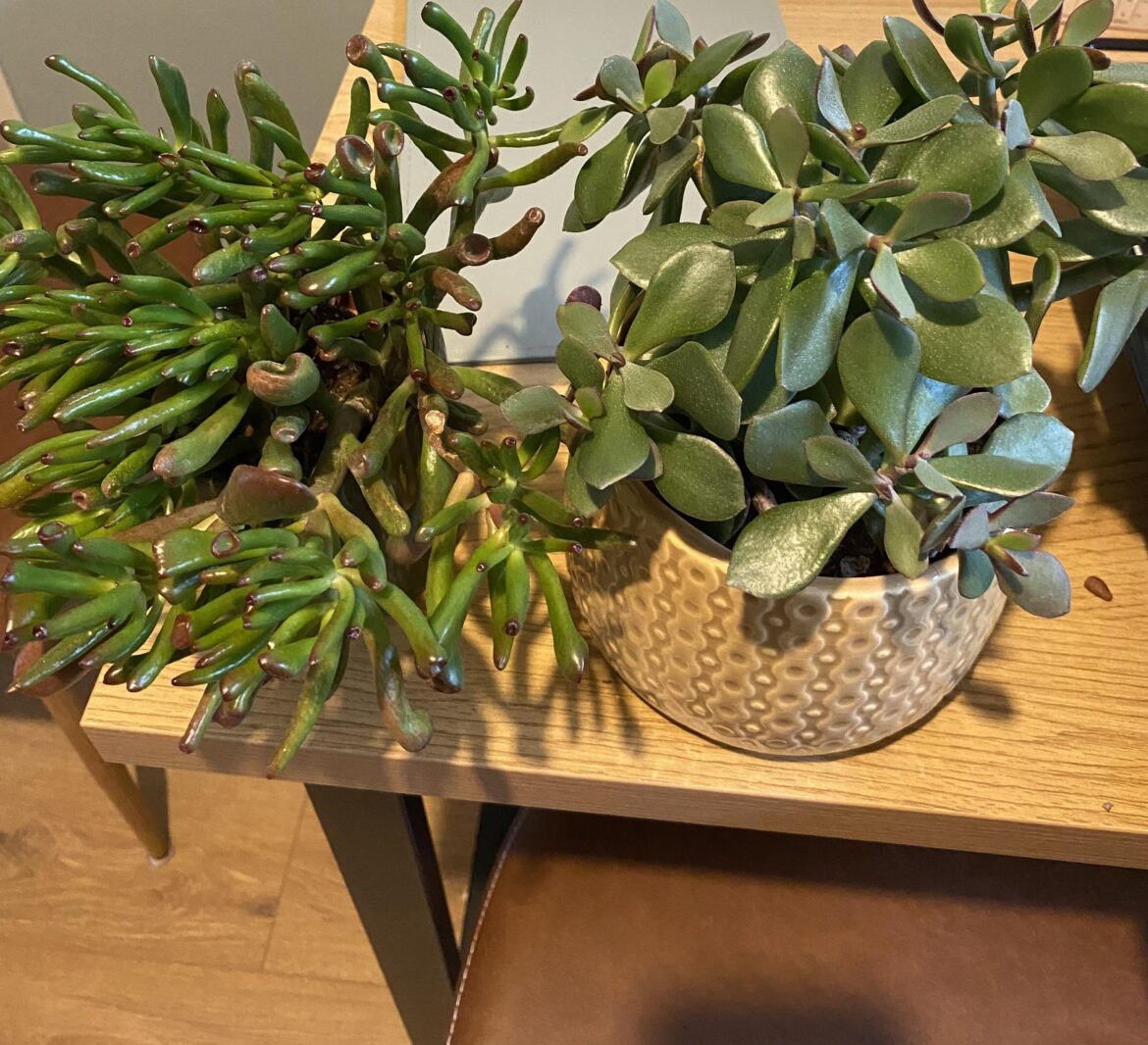 Is there any saving these?