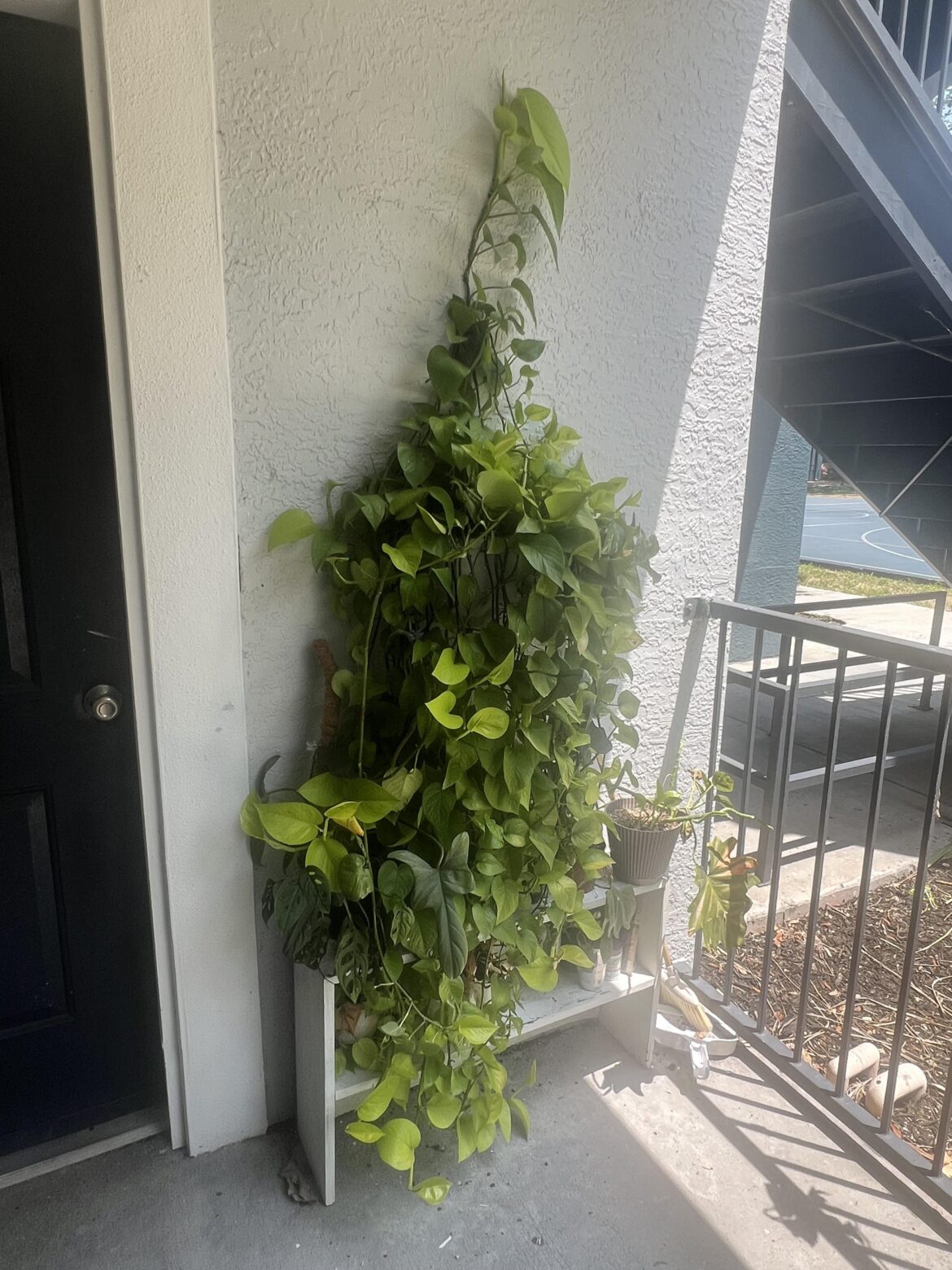 Moving next week, what can I do? Moving next week, what can I do?